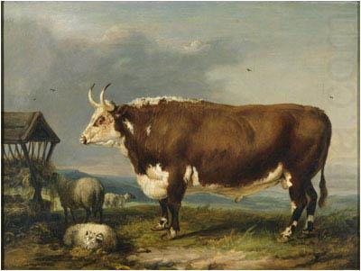 Hereford Bull with Sheep by a Haystack, James Ward